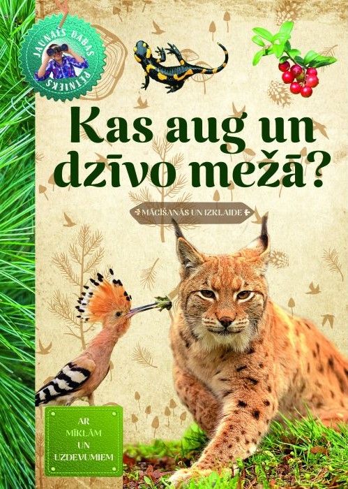 Kas aug un dzīvo mežā? Ar mīklām un uzdevumiem Kas aug un dzīvo mežā? Ar mīklām un uzdevumiem