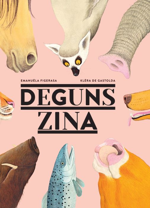 DEGUNS ZINA