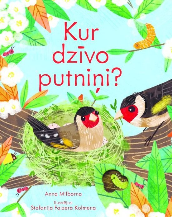 Kur dzīvo putniņi? Grāmata ar lodziņiem
