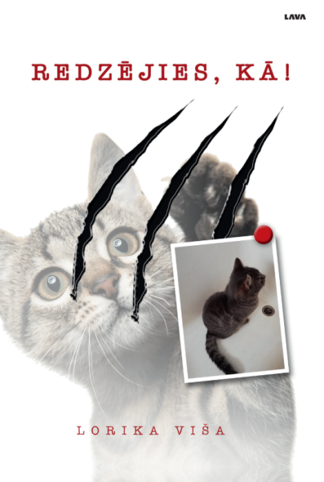 Redzējies, kā! Redzējies, kā!