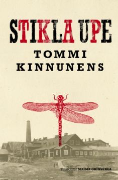 Stikla upe