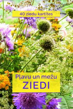 Pļavu un mežu ziedi. Kastītē 40 ziedu kartītes
