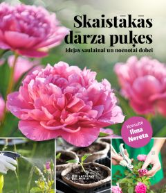 Skaistākās dārza puķes