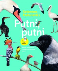 Putni, putni. Biežāk sastopamie Latvijas un Lietuvas putni