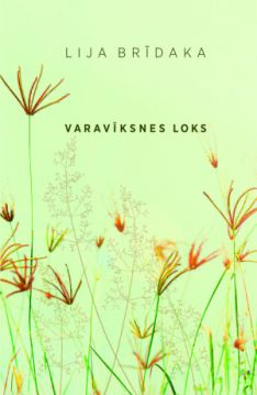 Varavīksnes loks