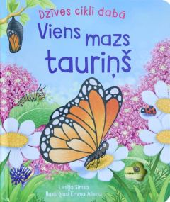 Dzīves cikli dabā. Viens mazs tauriņš