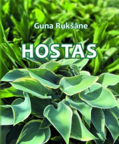 Hostas