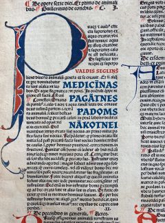 Medicīnas pagātnes padoms nākotnei