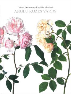 Angļu rozes vārds