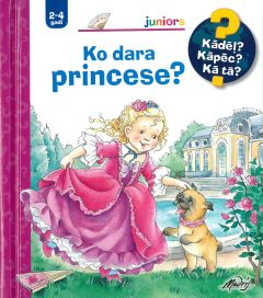 Ko dara princese? Kādēļ? Kāpēc? Kā tā?