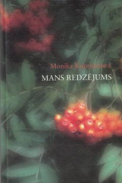 Mans redzējums