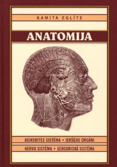 Anatomija. II daļa. Asinsrites sistēma. Iekšējie orgāni. Nervu sistēma. Sensoriskā sistēma