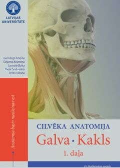 Cilvēka anatomija. Galva. Kakls. 1. daļa