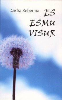 Es esmu visur