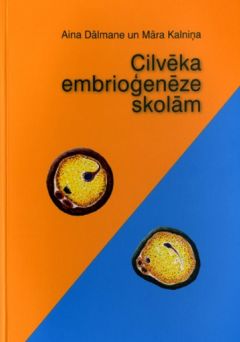 Cilvēka embrioģenēze skolām