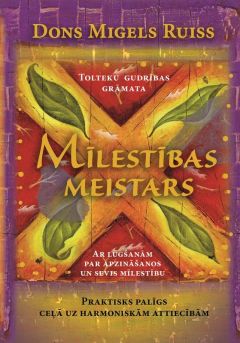 Mīlestības meistars. Praktisks palīgs ceļā uz harmoniskām attiecībām
