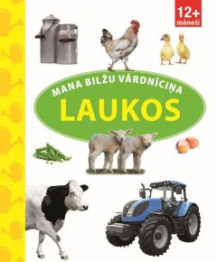 Mana bilžu vārdnīciņa. Laukos
