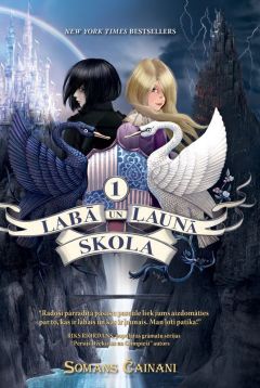 Labā un Ļaunā skola