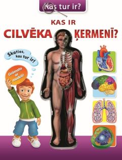 Kas ir cilvēka ķermenī?