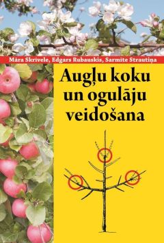 Augļu koku un ogulāju veidošana