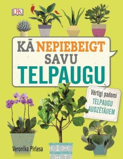 Kā nepiebeigt savu telpaugu. Vērtīgi padomi telpaugu audzētājiem