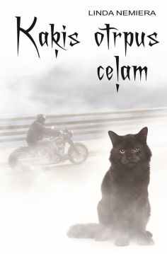 Kaķis otrpus ceļam
