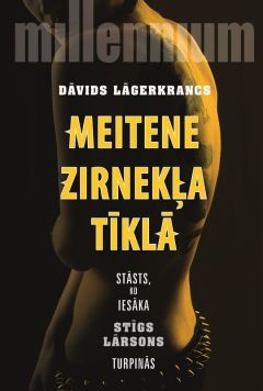 Meitene zirnekļa tīklā, 4