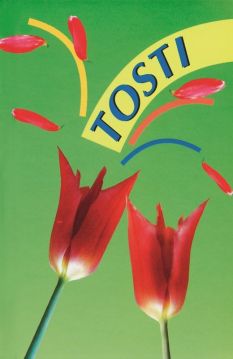 Tosti