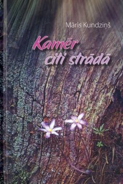 Kamēr citi strādā