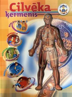 Cilvēka ķermenis. Skelets