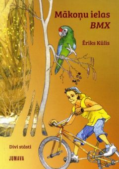 Mākoņu ielas BMX (e-grāmata)