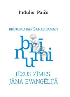 Jēzus zīmes Jāņa evaņģēlijā. Brīnumu darīšanas pamati