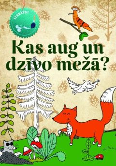 Kas aug un dzīvo mežā? Izkrāso!