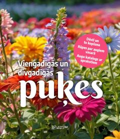 Viengadīgās un divgadīgās puķes