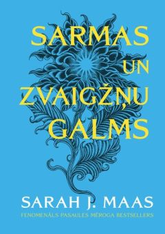 Sarmas un zvaigžņu galms, 4